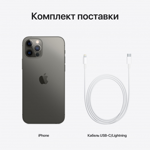 Apple iPhone 12 Pro 256Gb Gold RU/A