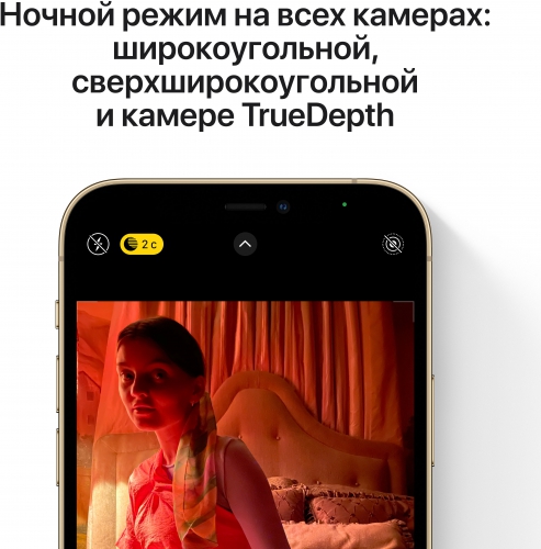 Apple iPhone 12 Pro 512Gb Blue RU