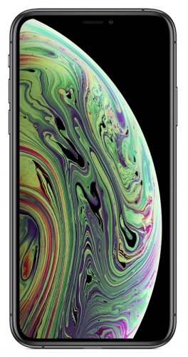 Apple iPhone Xs Max 256Gb Space Gray LL/A