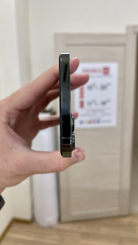 Apple iPhone Xs Max 256Gb в корпусе 13 Pro Max Alpine Green
