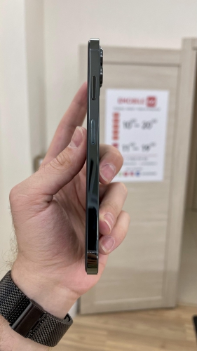 Apple iPhone Xs Max 256Gb в корпусе 13 Pro Max Alpine Green