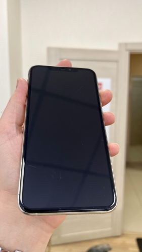 Apple iPhone 11 Pro Max 256Gb Silver уценка