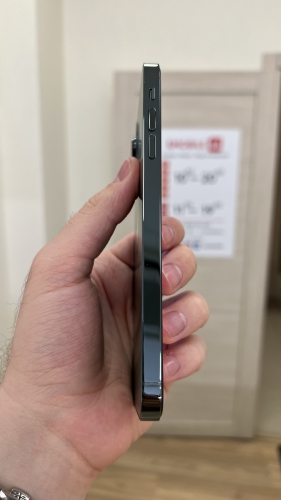 Apple iPhone Xs Max 64Gb в корпусе 13 Pro Max Alpine Green