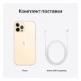 Apple iPhone 12 Pro Max 128Gb Gold RU/A